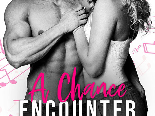 A Chance Encounter – Nikki Ash