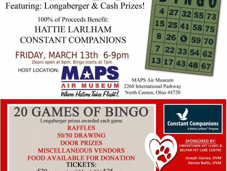 Hattie Larlham BINGO Night - Support a Mission Partner of Harmony Springs