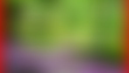 Return to Eden Class starts in April