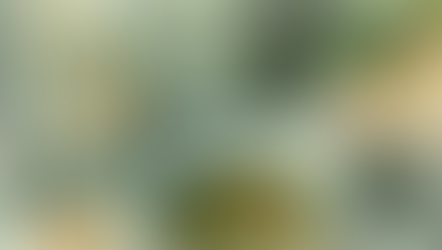 リコヘナ講座1月〜3月までのスケジュール