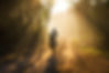 SANDRO_SCHMID_DSC02489.JPG