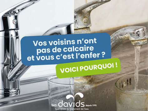 Pourquoi votre voisin n’a pas de calcaire (et vous, si) : Voici pourquoi