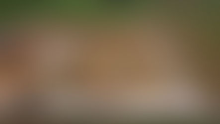 SLTP accompagne la réalisation du poste source express du Thuel