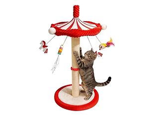 Carousel Scratch + Spin.png