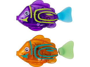 Meowsmerizing FIsh.png