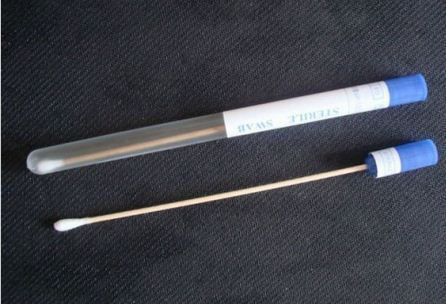 Thumbnail: Transport Swab with Gel