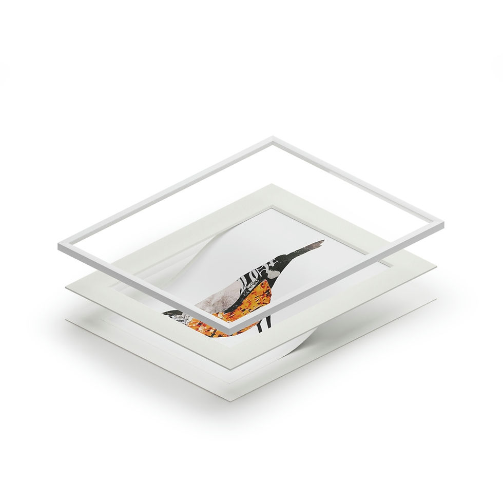 Thumbnail: American Robin