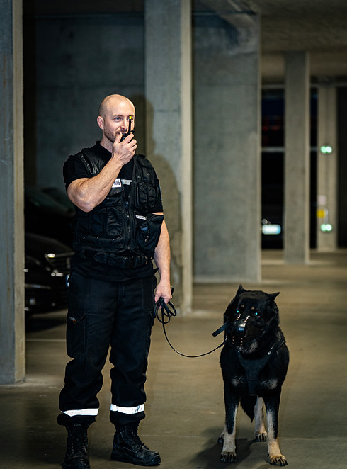 Garde du corps professionnel Nox Security en mission de sécurité