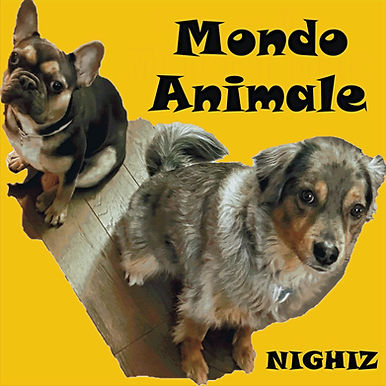 Copertina Mondo Animale Nighiz