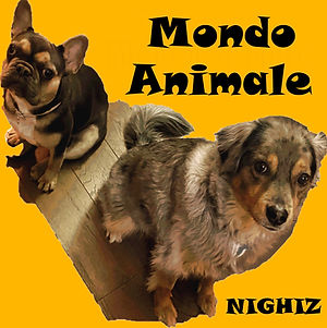 Copertina Mondo Animale Nighiz JPG.jpg