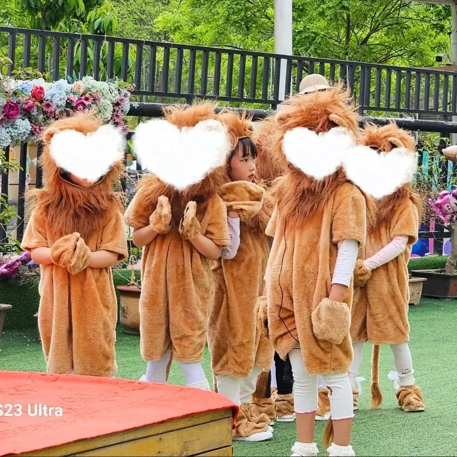 Miniatura: NoEnName_Null Disfraz de El Rey León para adultos, niños y bebés.