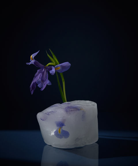 hielo.jpg
