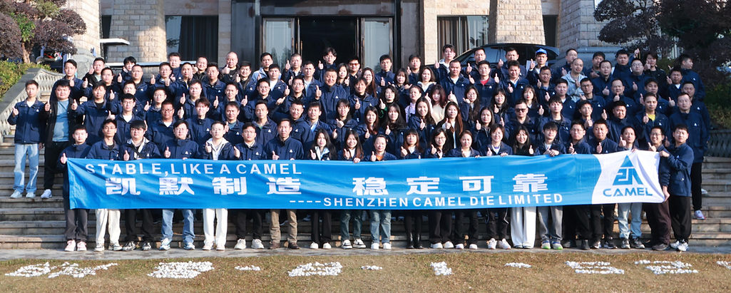 Die casting die team Shenzhen Camel die-