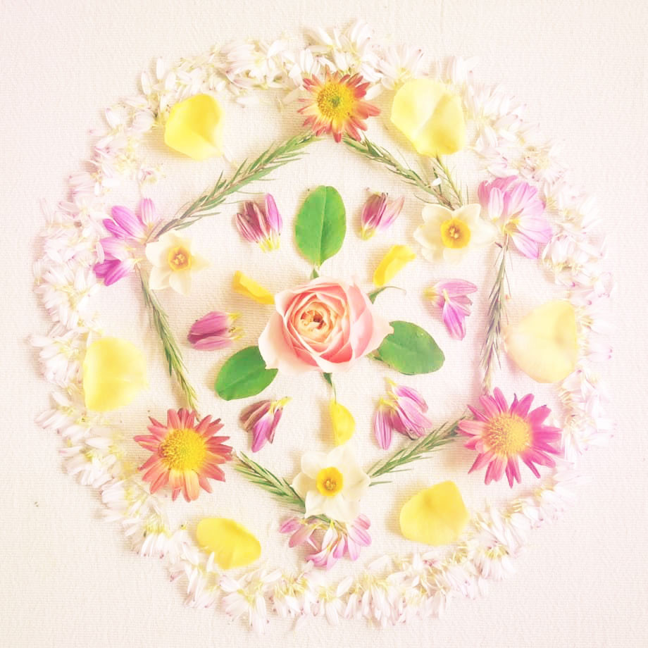 花曼荼羅| kitohana's Flower Mandara
