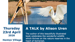 Wildlife on your doorstep....................