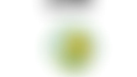 The beauty of DAFFODILS!