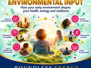 The Energy Map: how your early environment can shape your health, energy and resilience.