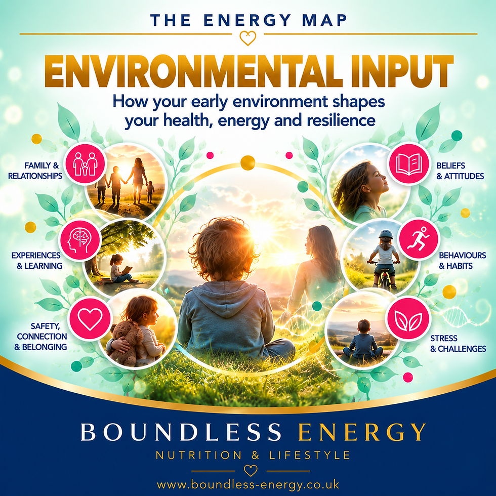 The Energy Map: how your early environment can shape your health, energy and resilience.