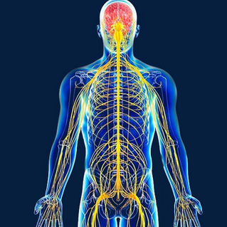 The Electrical Body: Harnessing Bioelectricity for Health and Healing