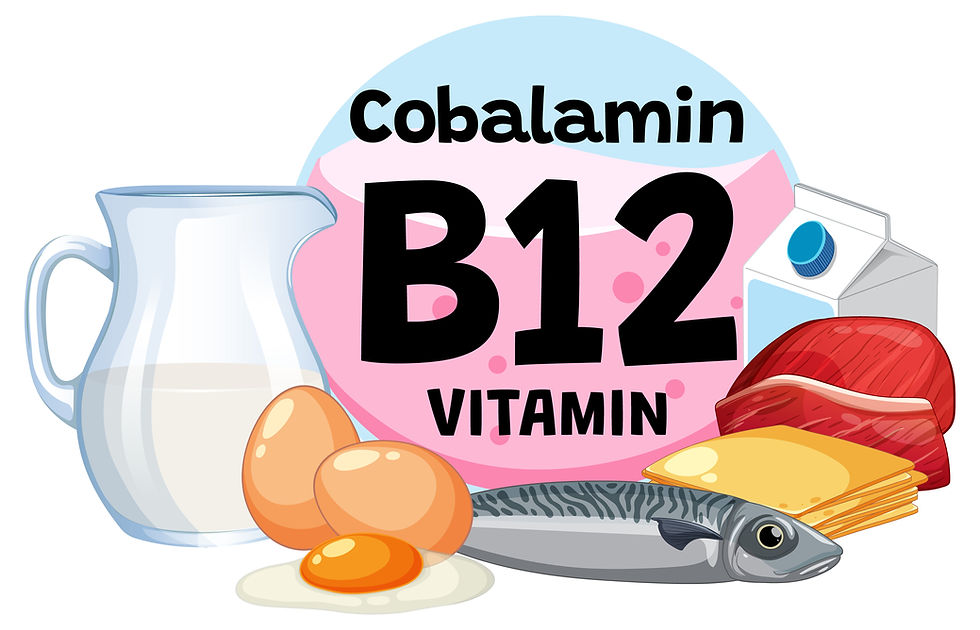 Vitamin B12 (cobalamin) and foods high in vitamin B12