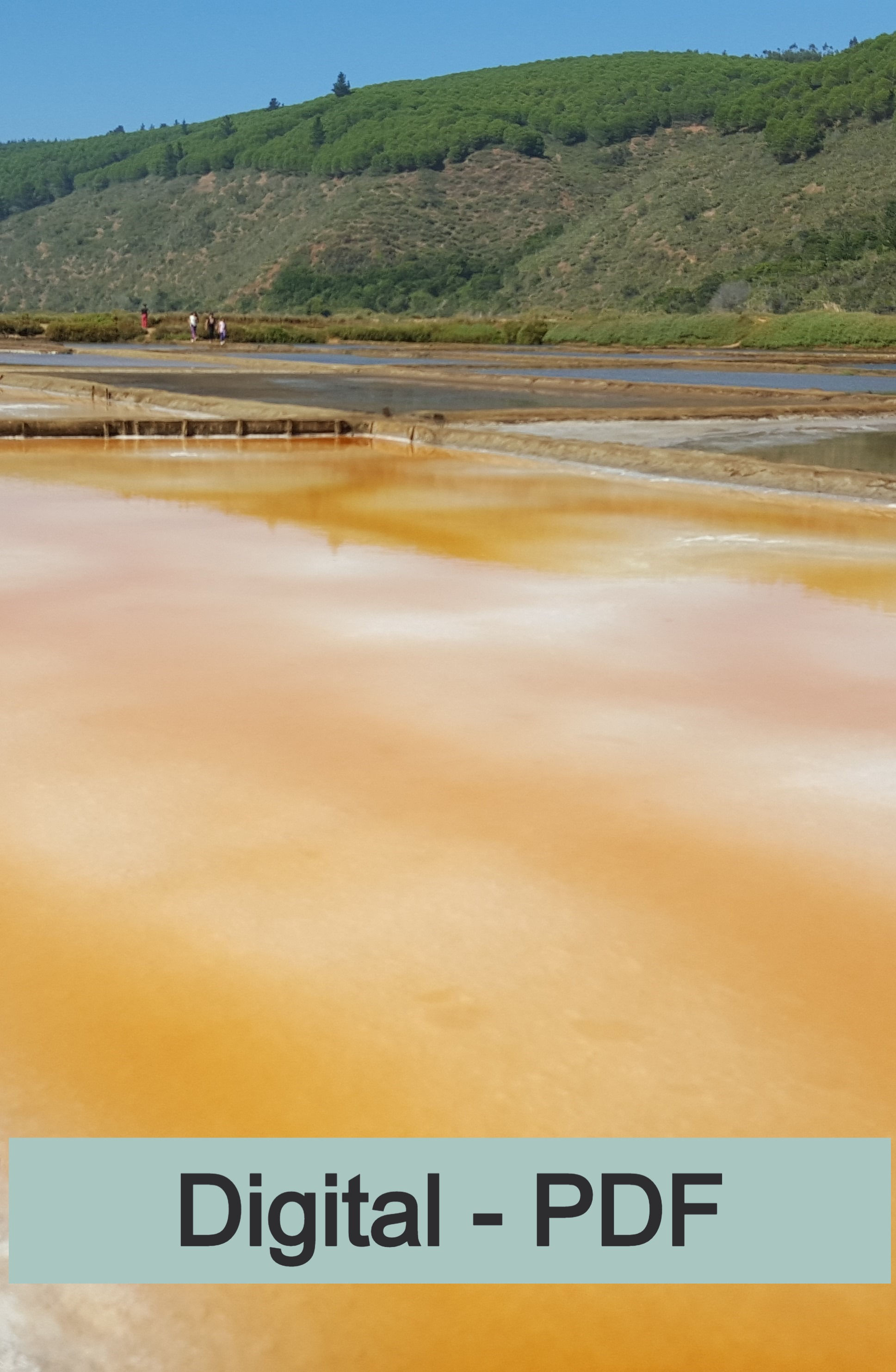 Cáhuil, primeros propietarios y origen de sus salinas