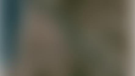 Cáhuil, primeros propietarios y el origen de sus salinas (V)