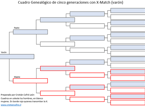 X-Match
