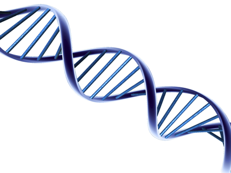 ADN y genealogía