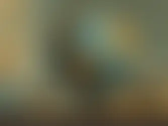 Welcome to the Blog: Real-World Bookkeeping for Wisconsin Small Business