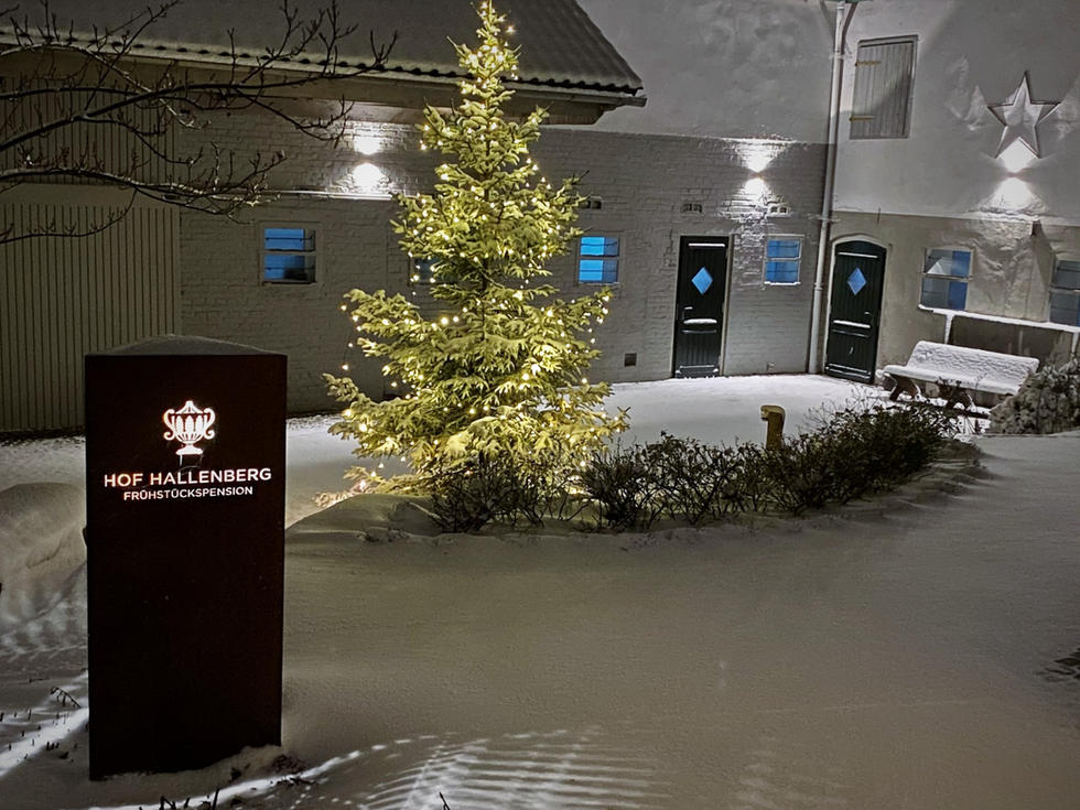 Hof Hallenberg Weihnachtsbaum.jpeg