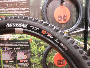 תקינת E50 המיועדת ל-EMTB תוצרת Maxxis