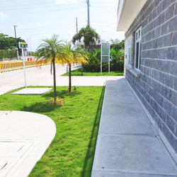 28. Jardinizacion 1