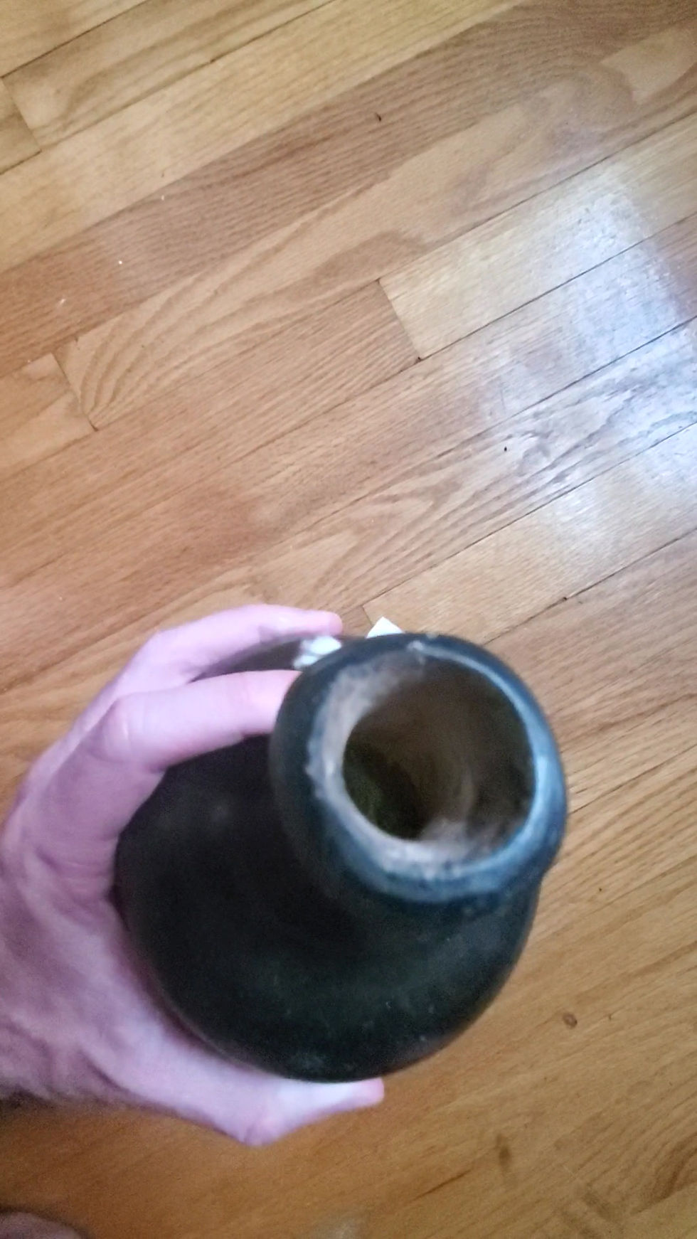 Thumbnail: French and Indian war era English wine bottle dug Ft. Ticondeoga