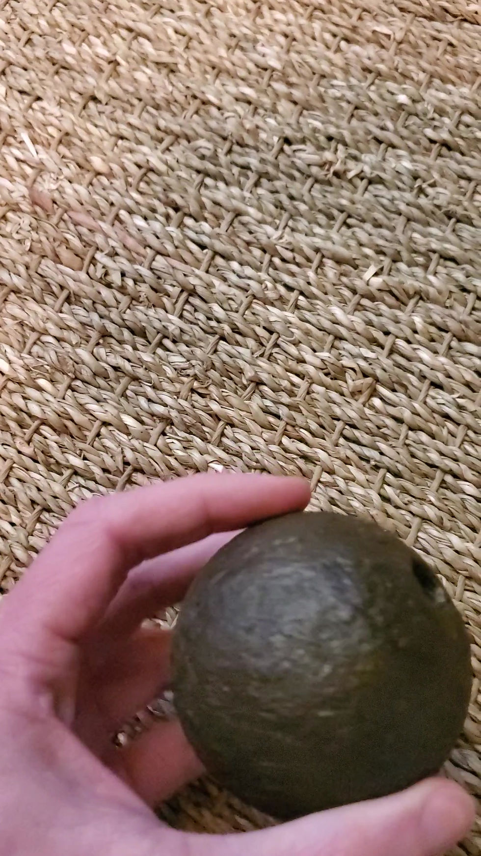 Thumbnail: French and Indian War to Revolutionary War era Dug Hand Grenade
