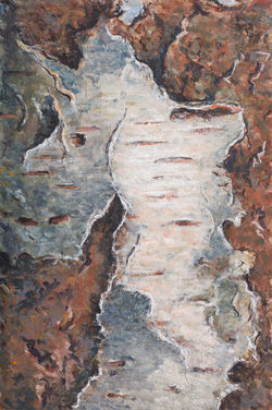 Betula III  (berk)  15x10 cm