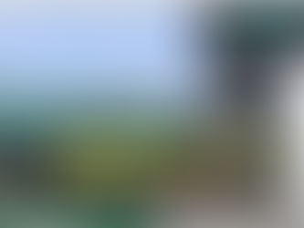 Raintree Transport Honored with Distinguished Excellence in Traffic Safety by the National Safety Council