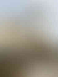 A high reach machine tears down a building.