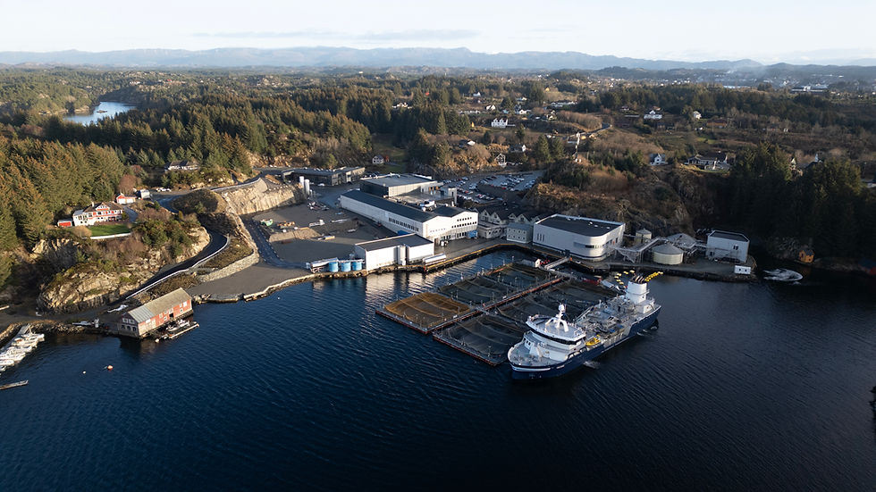 PT241223_DJI_0510 1 (1).jpg