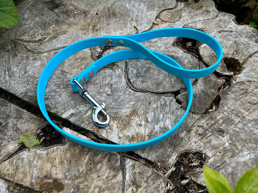 3ft full colour BioThane lead