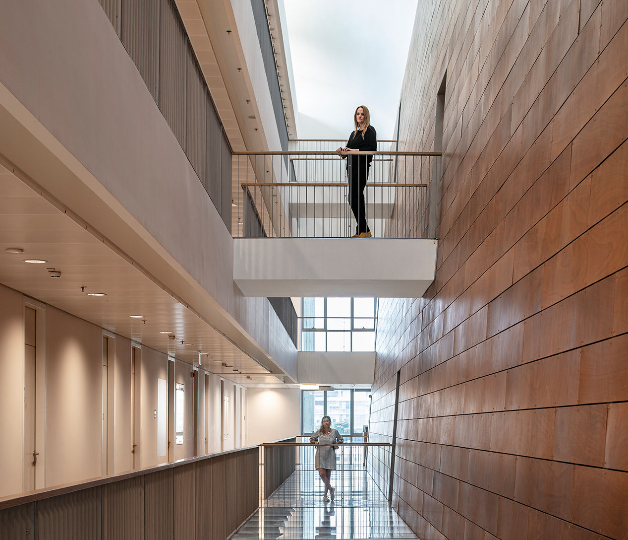 The Steinhardt Museum
of Natural History