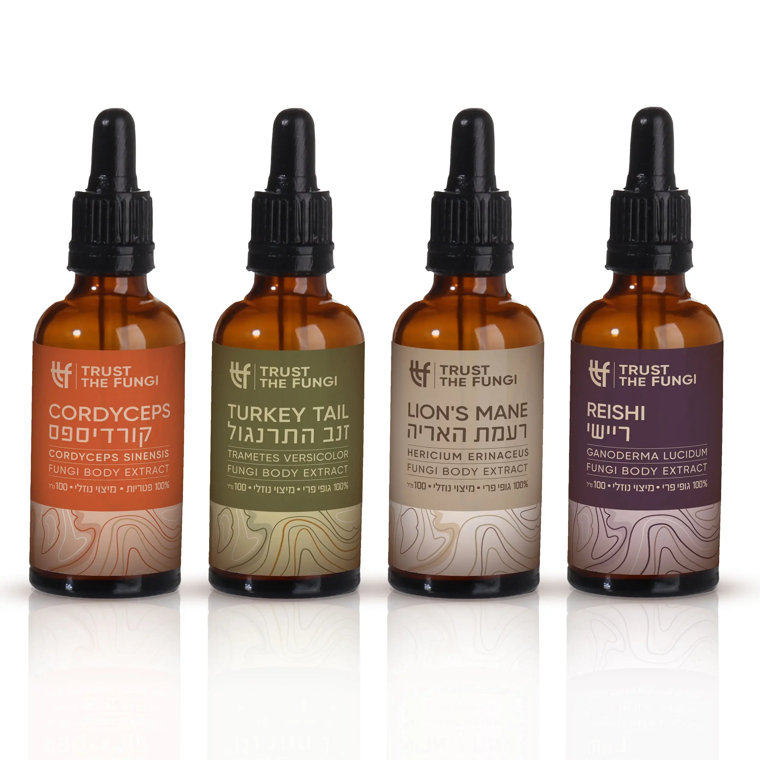מארז ארבעת היסודות - קורדיספס + ריישי + רעמת האריה + זנב התרנגול - מיצוי נוזלי 1