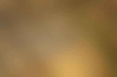 Exploring new techniques