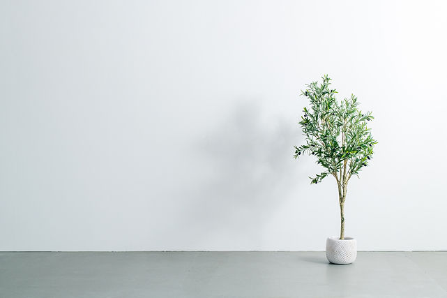 AdobeStock_321977332_edited.jpg