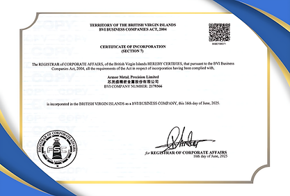 bvi cert_imgupscaler.ai_Upscaler_2K.png