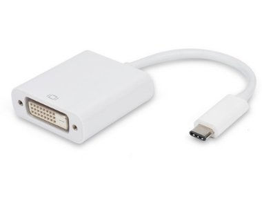 מתאם USB C - DVI Female