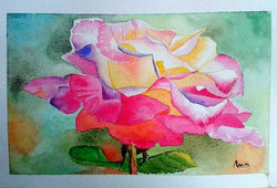 rosa2