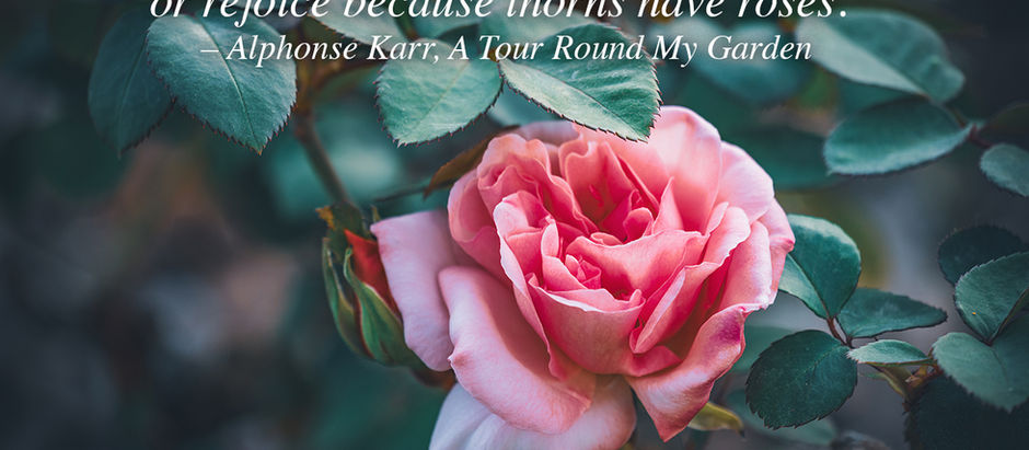 Gratitude, it does a body good.