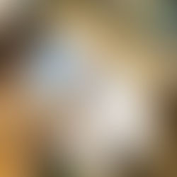 L6 & L1 Lang zullen we lezen 📖