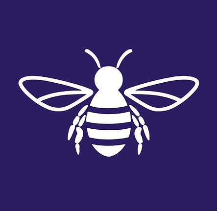 About Plum Hollow Farms - habitat development activities