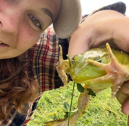Plum Hollow Farms. Ontario, Canada. Regenerative farming.